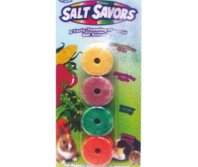 Salt Savors Chew For Small Animals (MINI-4 PK, ASSORTED) Hot on Sale