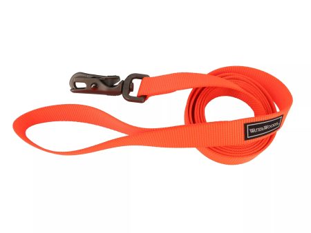 Coastal Pet Products Water & Woods Patterned Dog Leash Online now