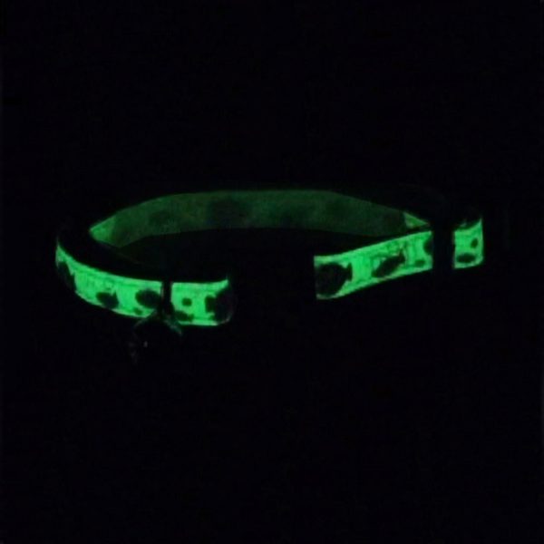 Coastal Pet Safe Cat Glow in the Dark Adjustable Breakaway Collar Discount