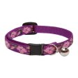 Lupine Pet Original Designs Safety Cat Collar Online Hot Sale