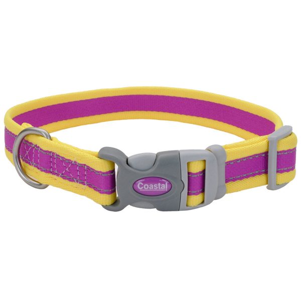 Coastal Pet Products Pro Reflective Adjustable Dog Collar (3 4  x 08 -12 , Purple with Yellow) Discount