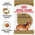 Royal Canin Breed Health Nutrition Dachshund Adult Dry Dog Food Online