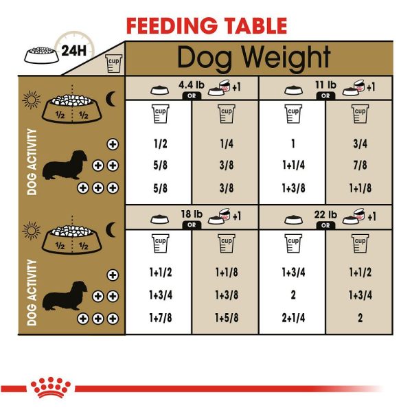 Royal Canin Breed Health Nutrition Dachshund Adult Dry Dog Food Online