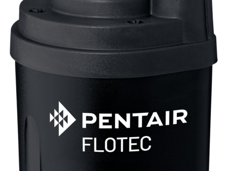 Pentair Flotec FP0S1300X 1 6 HP Tempest Water Removal Utility Pump Online now