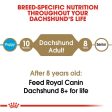 Royal Canin Breed Health Nutrition Dachshund Adult Dry Dog Food Online