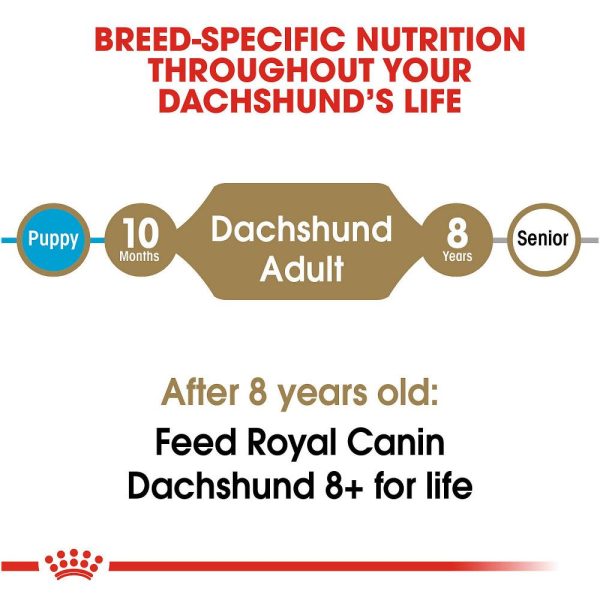 Royal Canin Breed Health Nutrition Dachshund Adult Dry Dog Food Online