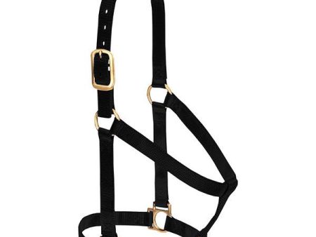 Weaver Leather Basic Non-Adjustable Halter 1  Small Black Sale