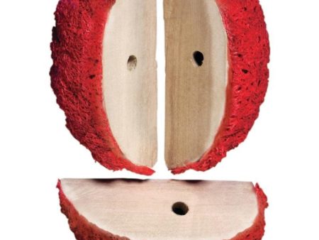 KAYTEE COMBO CHEWS APPLE SLICES (3 PK, RED) Fashion