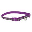 Coastal Pet Products Lazer Brite Reflective Adjustable Breakaway Cat Collar For Cheap