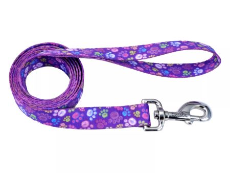 Coastal Pet Products Styles Dog Leash Special Paws 5 8  x 6  on Sale