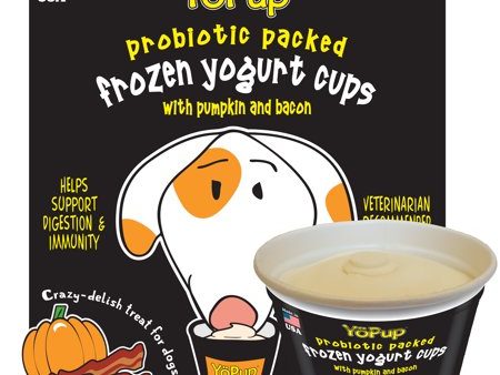 Yoghund Pumpkin & Bacon Frozen Yogurt Cups (4 Pack) Fashion