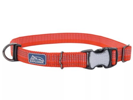 Coastal Pet Products K9 Explorer Brights Reflective Adjustable Dog Collar Cheap