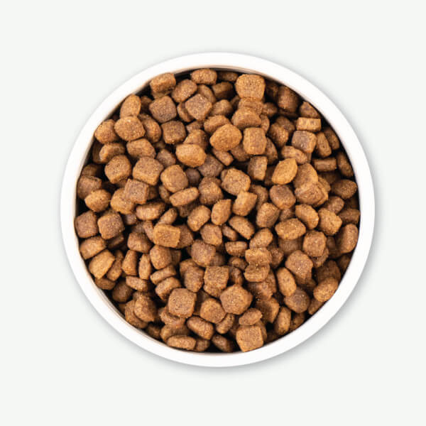 Earthborn Holistic Primitive Natural™ Dry Dog Food Online Hot Sale