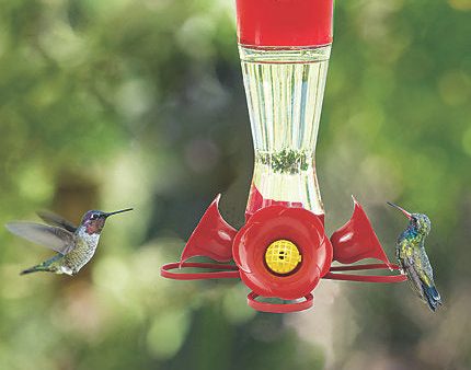 Perky-Pet® Pinch-Waist Glass Hummingbird Feeder - 8 oz Nectar Capacity For Sale