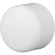 Charlotte Pipe 1 In. Schedule 40 Pressure Slip PVC Cap For Cheap