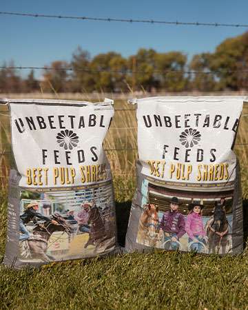 Unbeetable Feeds Beet Pulp Shreds with Molasses Sale