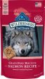 Blue Buffalo Wilderness Trail Grain Free Salmon Dog Treats Online