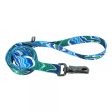 Coastal Pet Inspire Fashion Dog Leash Online now