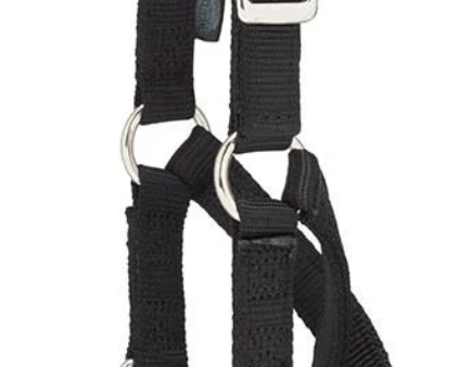 Weaver Leather Sheep & Goat Training Halter (Small Black) Cheap