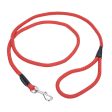 Coastal Pet Coastal Rope Dog Leash on Sale