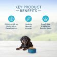 Blue Buffalo Life Protection Natural Chicken & Oatmeal Recipe Small Breed Puppy Dry Dog Food Supply