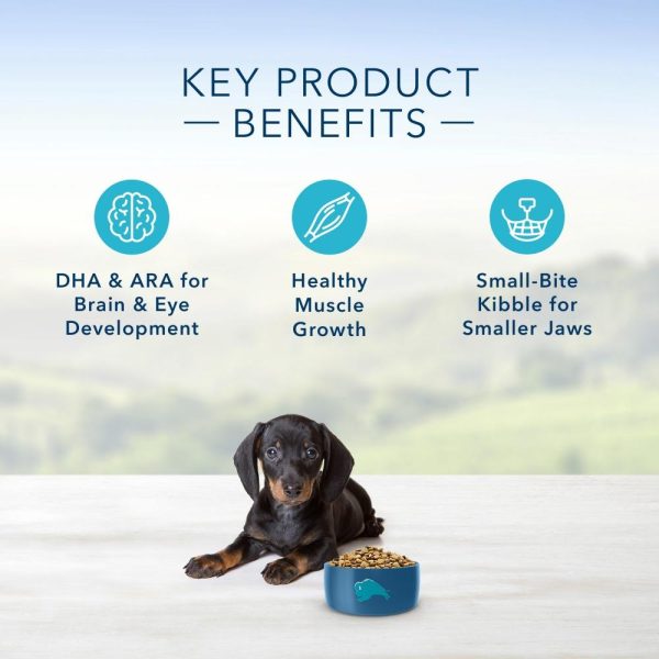 Blue Buffalo Life Protection Natural Chicken & Oatmeal Recipe Small Breed Puppy Dry Dog Food Supply