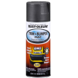 Rust-Oleum® Trim & Bumper Paint Black Cheap