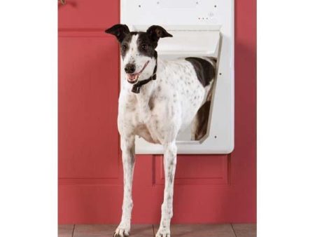 PetSafe SmartDoor White Dog Door (Large: 16.125  x 23.625 ) Online now