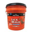 Antler King Lick Magic Online Sale