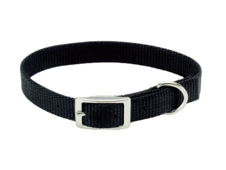 Coastal Pet Products Coastal Single-Ply Dog Collar Online