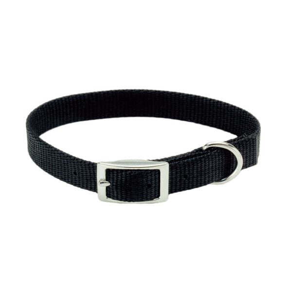 Coastal Pet Products Coastal Single-Ply Dog Collar Online