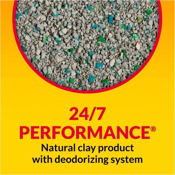 Tidy Cats Non Clumping 24 7 Performance MultiCat Long Lasting Odor Control Cat Litter Hot on Sale