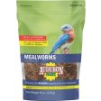 Audubon Park 8 Oz. Dried Mealworms Cheap