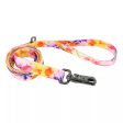 Coastal Pet Inspire Fashion Dog Leash Online now