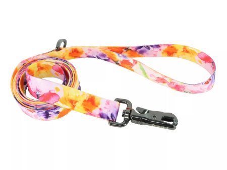 Coastal Pet Inspire Fashion Dog Leash Online now