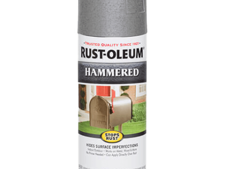 Rust-Oleum® Hammered Spray Paint Silver Fashion