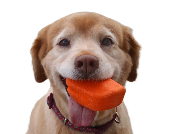 Ruff Dawg Rock Rubber Retrieving Toy Online now