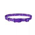 Coastal Pet Products Styles Adjustable Dog Collar Hot on Sale