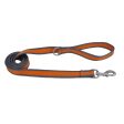 Coastal Pet Products Pro Reflective Dog Leash For Discount