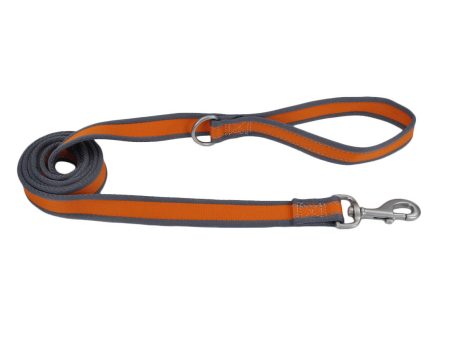 Coastal Pet Products Pro Reflective Dog Leash For Discount