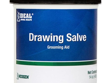 SQUIRE ICHTHAMMOL DRAWING SALVE GROOMING AID Online now