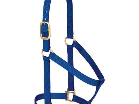 Weaver Leather Basic Non-Adjustable Halter Average 1  Blue (1 , Blue) For Discount