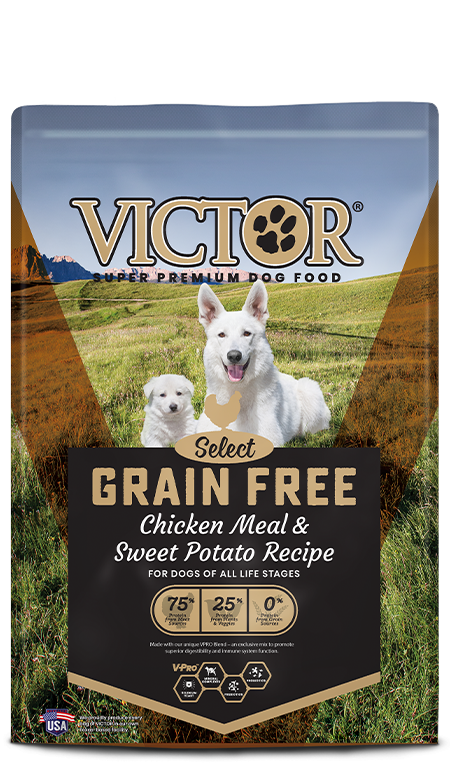 Victor Pet Grain Free Chicken Meal & Sweet Potato Recipe Sale