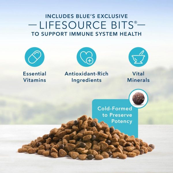 Blue Buffalo Life Protection Natural Chicken & Oatmeal Recipe Small Breed Puppy Dry Dog Food Supply