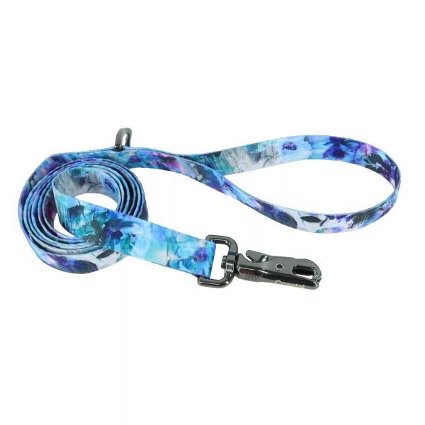 Coastal Pet Inspire Fashion Dog Leash Online now