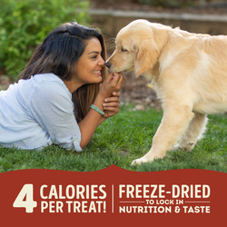 ACANA Freeze-Dried Beef & Pumpkin Dog Treats Online now