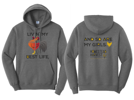 Livin’ My Best Life Graphite Heather Hoodie Online