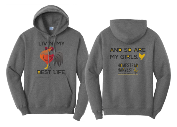 Livin’ My Best Life Graphite Heather Hoodie Online