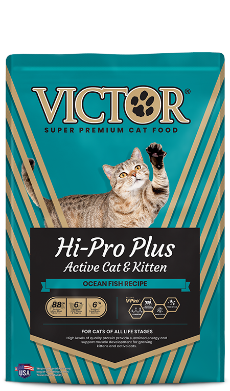 Victor Hi-Pro Plus Active Cat & Kitten For Discount