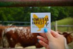 Homestead Harvest Chicken Decal Online Hot Sale